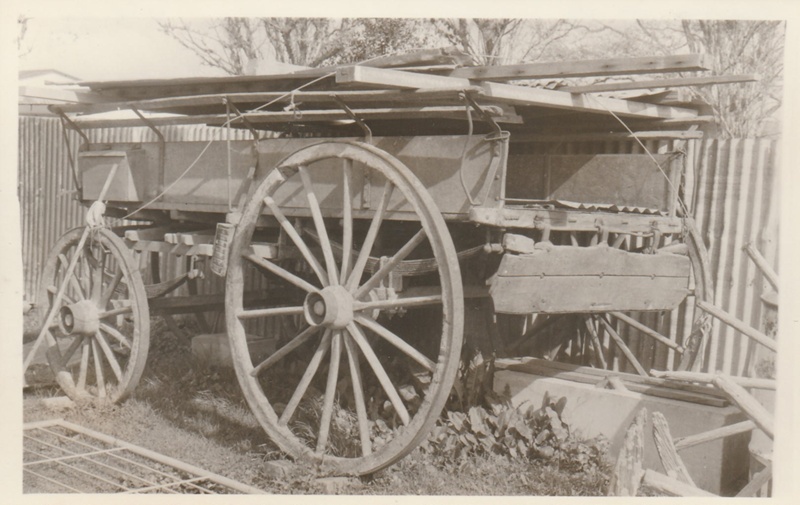 Sprung dray wagon at Bell House.; 3 September 1975; P2020.18.12 on NZ