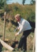 Sir Barry Curtis planting a tree during the 25th anniversary of the Howick Historical Society.; La Roche, Alan; 29 March1987; P2025.25.08