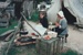 Two women in costume, cooking on the fire outside the tent on the green at Howick Historical Village. ; La Roche, Alan; October 1996; P2021.88.05