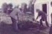 Pat Hunt, MP for Pakuranga and A la Roche planting a tree at the opening of Johnson's cottage in Howick Historical Village. ; Young, Robert; 18 July 1982; P2020.117.02