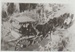 Horse drawn carriage stuck in the mud.; 2017.426.05
