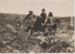 Early tractor ploughing in South Auckland.; c1920s; 2017.587.43