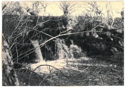 The millpond dam, Ormiston Road; 1920s; 2017.171.59