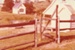 The bottle gate next to Sergeant Barry's cottage at Howick Historical Village.; January 1980; P2022.22.07