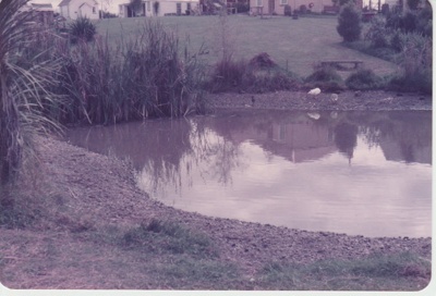 Looking across the pond at the Howick Historical Village; 1/05/1984; 2019.122.06