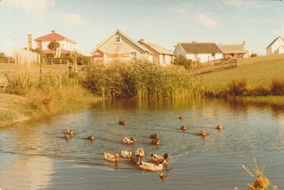 The duck pond at Howick Historical Village; La Roche, Alan; 1/04/1981; 2019.122.17