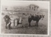 Hancock family in a sledge on Gills Farm; 17.03.1910; 2017.440.25
