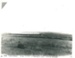 Pakuranga from Roberts homestead; 23/01/1935; 2016.448.41