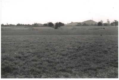 View across farmland to East Tamaki Road; 1955; 2017.188.39