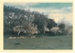 Spring, Hawthorn Farm, 1947.; Hattaway, Robert; 1947; 2016.278.63