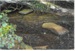 Stepping stones over the Mangemangeroa Creek; La Roche, Alan; 1/08/2011; 2017.093.49