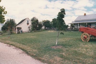 Christmas, past and present at Howick Historical Village, 12 December 1987. Looking towards Sergeant Barry's cottage dressed for Christmas and the Parsonage. ; Ashby, Frank; 12 December 1987; P2021.190.09