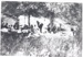 Buckland Family picnic at Bucklands Beach; 2017.041.96