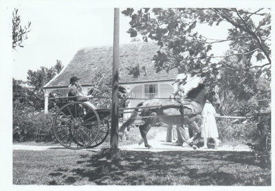 A horse and cart outside Sergeant Barry's cottage on Church Street in Howick Historical Village.; La Roche, Alan; 27 February 1988; P2021.180.10