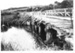 Whitford road bridge over the Turanga River; John McCaw; 1970; 4121