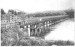 Photograph of the first Panmure Bridge; 1910; 3600