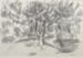 Magnolia Tree in Moonlight, Greymouth; Toss WOOLLASTON; 1959; 466