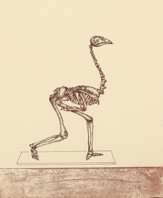 Specimen copy- the featherless biped; Barry CLEAVIN; 1993; 1323