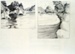 Untitled (Beachscape) 2 scenes; Irvine MAJOR; 21 JAN 1981; 1141