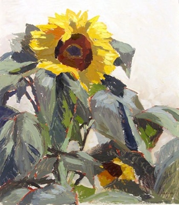 Sunflower; Ivy FIFE; 1961; 338
