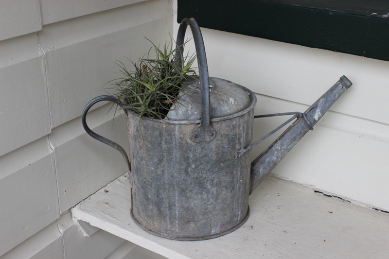 2.5 Gallon Galvanised Watering Can