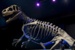 Replica dinosaur skeleton, 2008.67.1