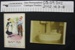 Postcards WW1; George Sheppard; 1917; 2002_110_7-8