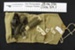 Sewing repair kits; Unknown; c.1939-1945; 2004_319_1-2