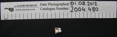Royal Navy badge; Royal Navy; 20th Century; 2004_480