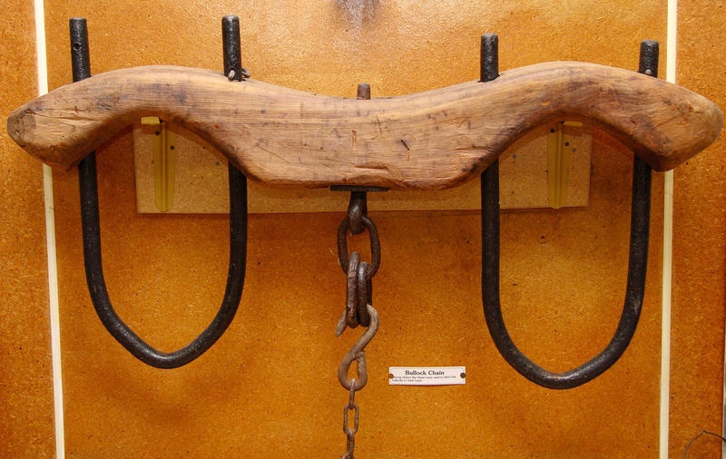 Bullock yoke and chain.; TC7395 | eHive