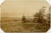 Aro Aro Estuary; Gilmour Brothers; 1.7.1910; X001.56.11