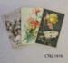 Postcards, greeting cards, circa 1900; [?]; Early 20th century; CT82.1616 a