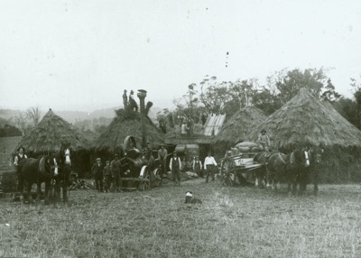 Photograph [Portable threshing mill]; [?]; early 20th century?; CT91.1005a