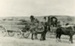 Photograph [Team and wagon, Tahakopa Station]; [?]; [?]; CT79.1262b