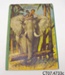 Book [In the Jungle]; Bancroft & Co Ltd; 1961; CT07.4733c
