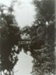 Photograph [Catlins River, 1908]; [?]; 1908; CT89.1889.8