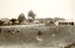 Photograph [Falconer homestead, "Balnacoil", Owaka].; [?]; Late 1800s; CT85.1699g.2