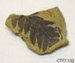 Fossil; CT77.132