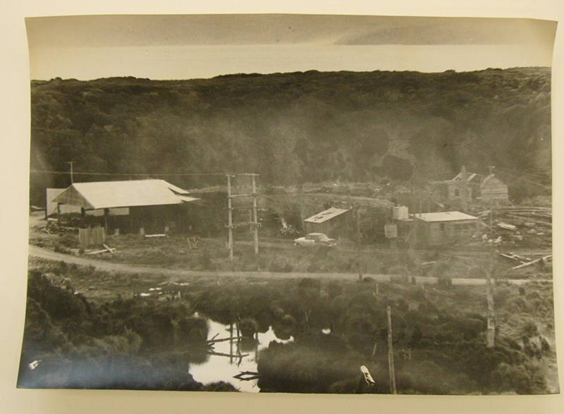 Photograph Fletchers' Sawmill; c 1960; 0000.2302 on NZ Museums