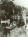 Photograph [Catlins River, 1904]; [?]; 1904; CT89.1889.2