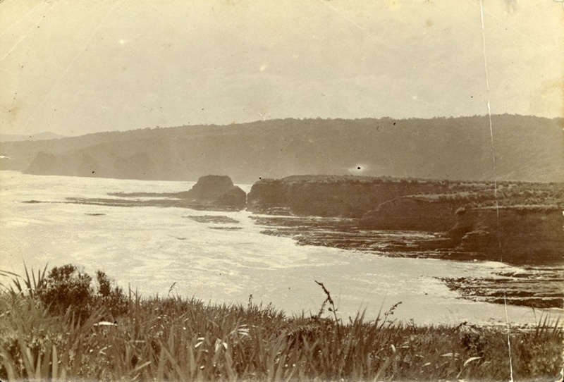 Photograph [Tautuku Peninsula]; [?]; CT98.2084i eHive