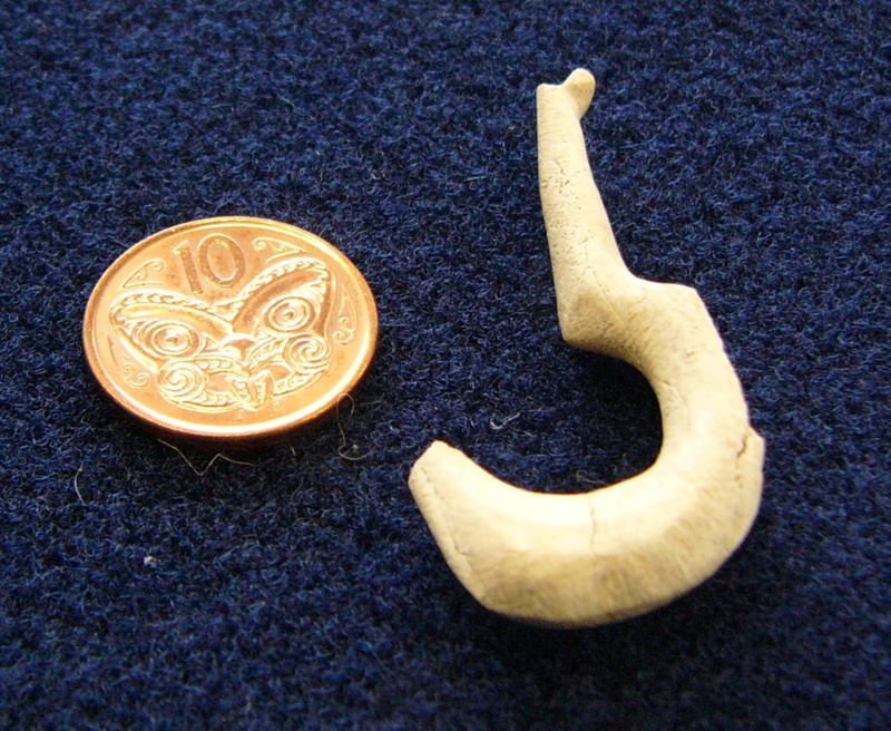 broken fish hook Fish hook - broken; pre-1800; Oceania, New Zealand, South Island, The  Catlins, P