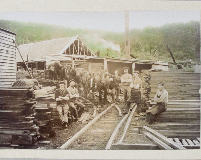 Photograph [Bates & Co Sawmill]; [?]; 19091911; 2010.682 eHive