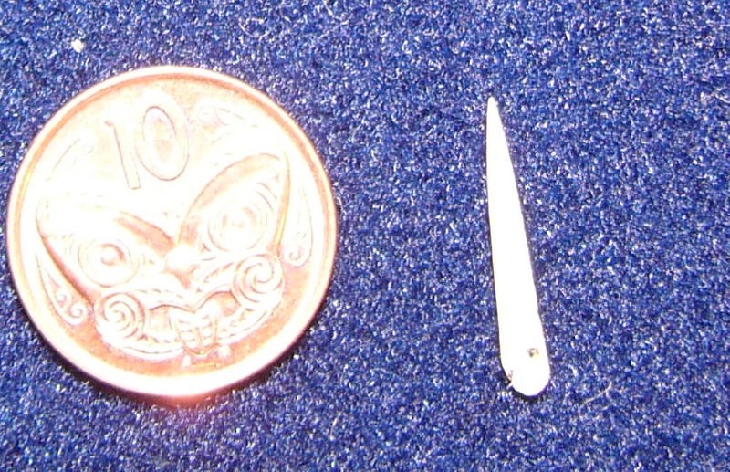 Needle Pre 1800 Oceania New Zealand South Island The Catlins Needle Pre 1800 Oceania New Zealand South Island The Catlins