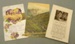 Postcards ; [?]; c1910-1919; 2010.429.26