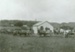Photograph [Owaka Valley skimming factory]; [?]; 23.10.1903; CT91.1005b