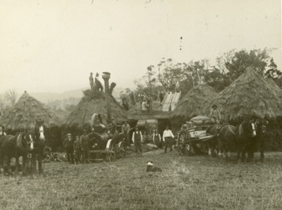Photograph [Portable threshing mill]; [?]; early 20th century?; CT83.1118d