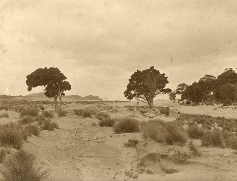 Photograph [false Island From Surat Beach]; Williams, W (mr); Early 