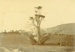 Photograph [Blowing up a rimu tree]; [?]; [?]; CT79.1063b