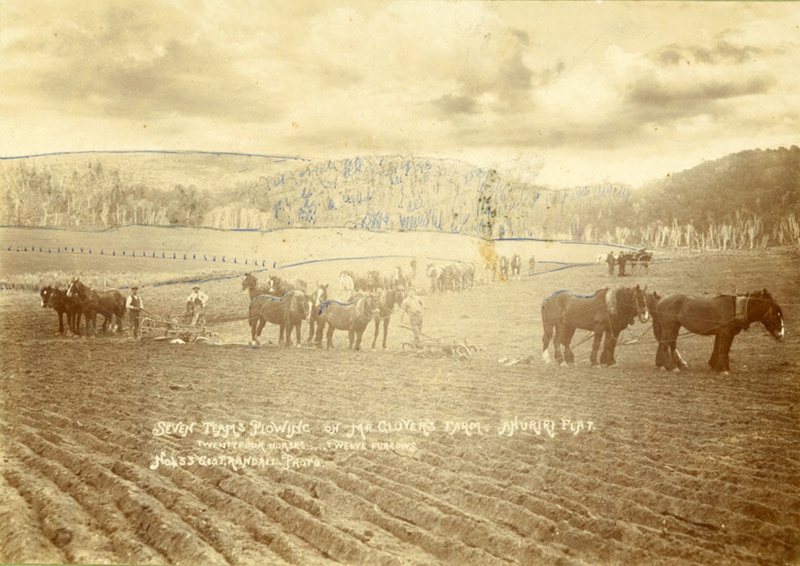 Photograph [Ploughing on Mr Glover's Farm]; Randall, T; c1907